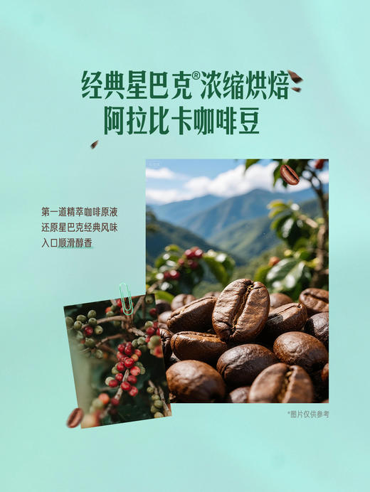 MM 山姆 星巴克薄荷巧克力馥芮白 250ml*3/6 商品图3