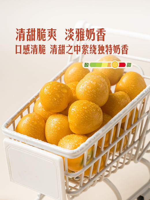 MM 山姆 菇娘果 500g 商品图2