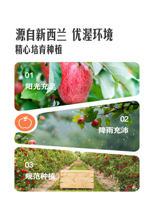 MM 山姆 索尼娅苹果 1.5kg 商品图4