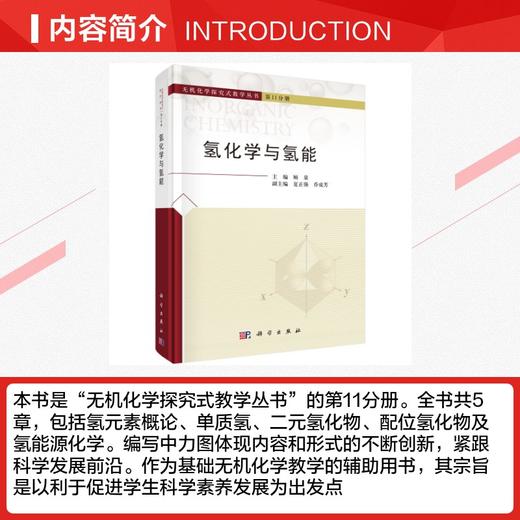 氢化学与氢能 商品图2