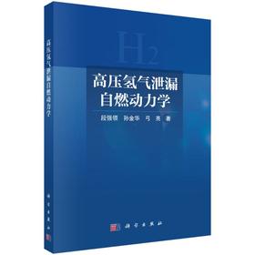 高压氢气泄漏自燃动力学