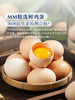 MM 山姆 Member's Mark 精选鲜鸡蛋 1.59kg（30枚） 商品缩略图1