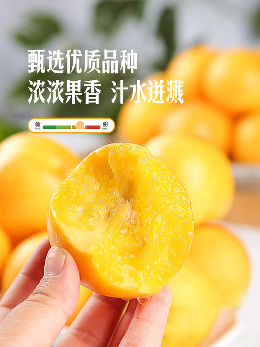 MM 山姆 金黄油桃 2kg 商品图2