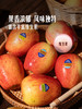 MM 山姆 索尼娅苹果 1.5kg 商品缩略图5