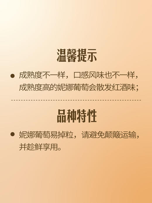 MM 山姆 妮娜葡萄 1.36kg 商品图7