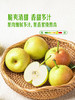 MM 山姆 太阳雪梨 1.5kg 商品缩略图2
