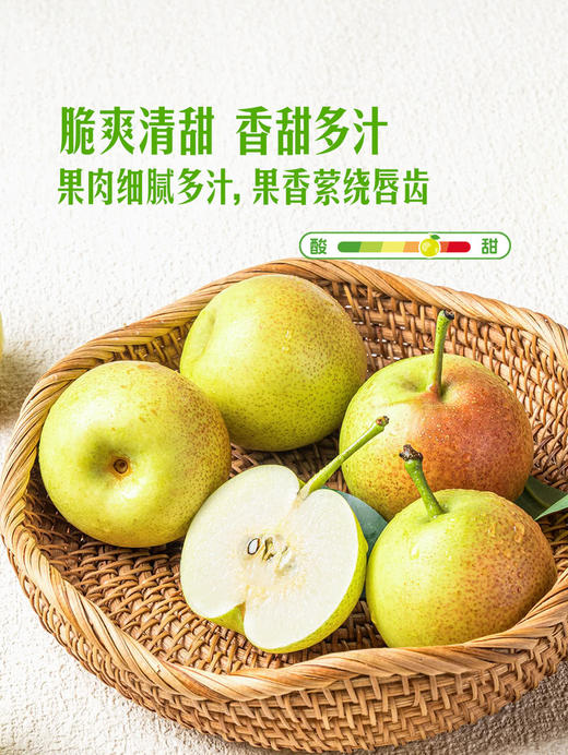 MM 山姆 太阳雪梨 1.5kg 商品图2