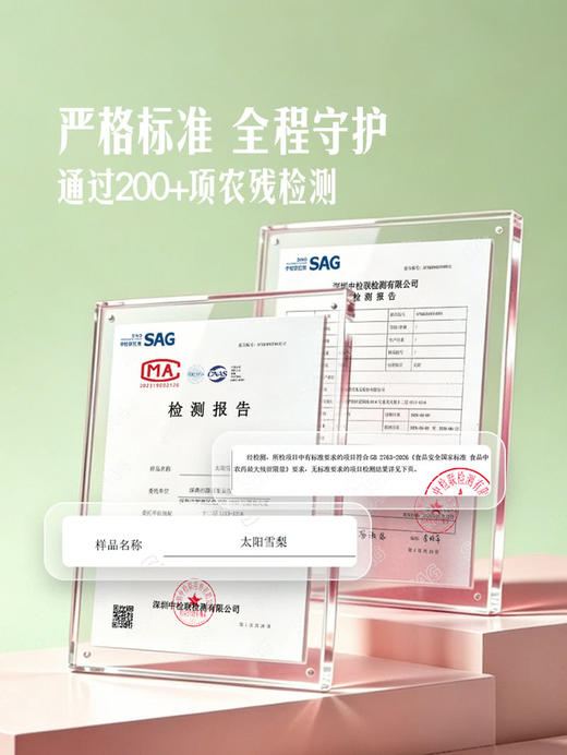 MM 山姆 太阳雪梨 1.5kg 商品图3