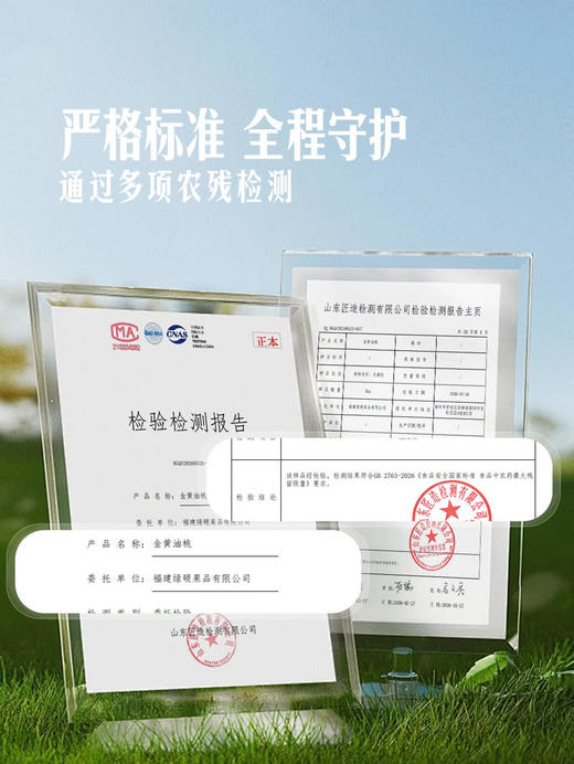 MM 山姆 金黄油桃 2kg 商品图3