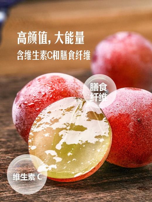 MM 山姆 妮娜葡萄 1.36kg 商品图6