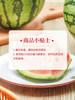 MM 山姆 手撕西瓜 1.5kg/1/2粒 商品缩略图6