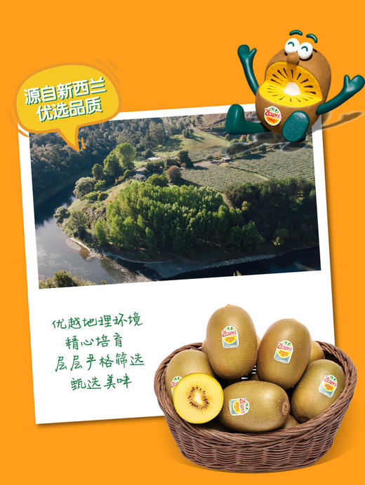 MM 山姆 佳沛金果果切 310g 商品图6