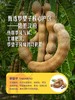 MM 山姆 泰国罗望子 180g 商品缩略图4