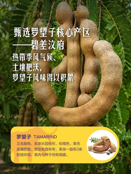 MM 山姆 泰国罗望子 180g 商品图4