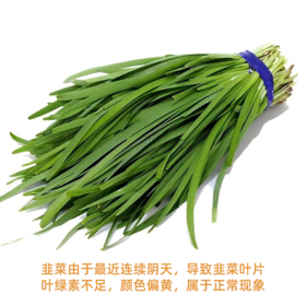 广缘韭菜(450±20g)