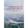 白鹤滩水电站库岸滑坡体智能识别技术 商品缩略图2