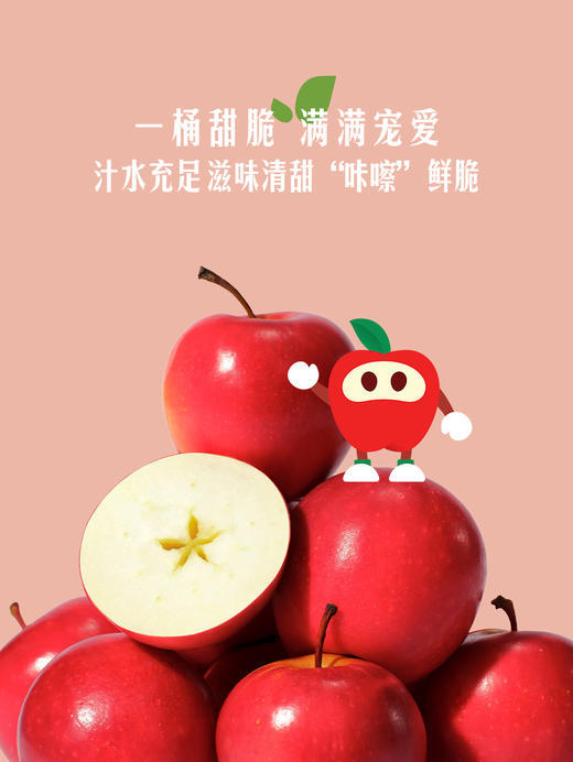 MM 山姆 乐淇苹果 988g 商品图3