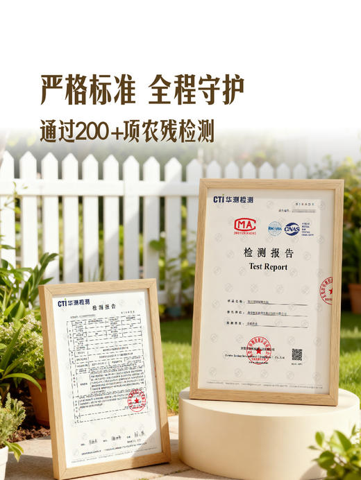 MM 山姆 妮娜葡萄 1.36kg 商品图3