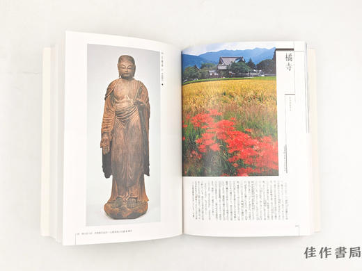 【绝版旧书】 奈良の古寺と仏像　會津八一のうたにのせて / 奈良的古寺与佛像：会津八一的诗歌相伴 商品图1