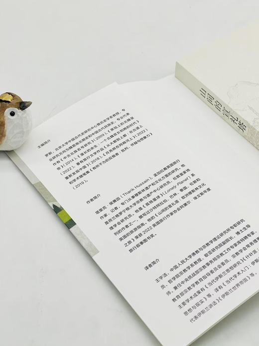 山间的宣礼塔：欧洲穆斯林文化之旅(远方译丛) 商品图4