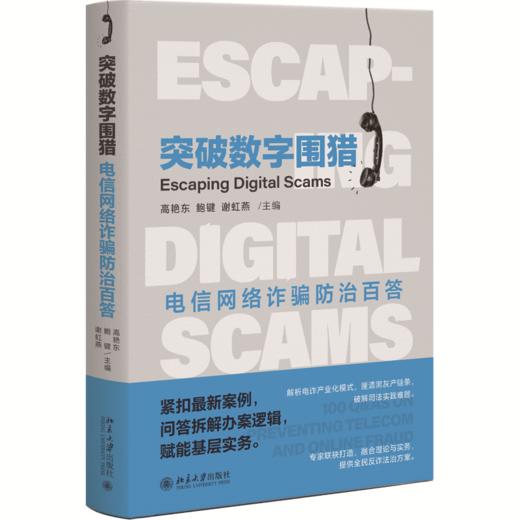 突破数字围猎：电信网络诈骗防治百答 高艳东 鲍键 谢虹燕 主编  北京大学出版社 商品图0