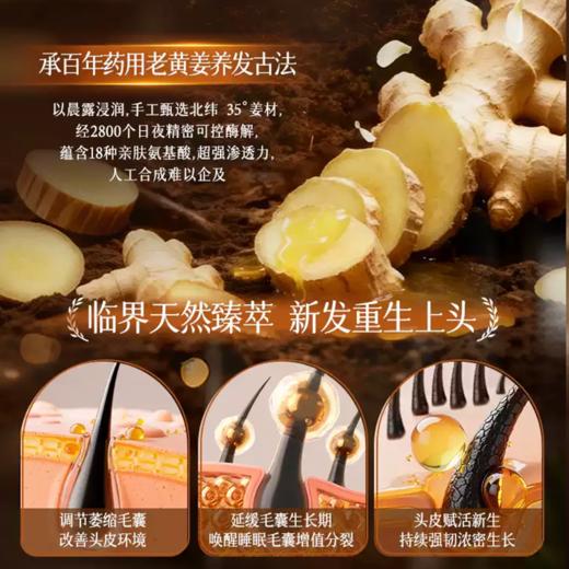 【超模君严选 防脱育发 强韧发根】俏然纯 生姜防脱洗发水 固发养发 增发密发 精选云南黄姜熬制（带防脱特征） 商品图3