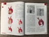 血管外科关键入路：手术精要与操作图谱（中文翻译版） （美）蒂穆尔·P.萨拉吉（Timur P.Sarac） （美）维克拉姆·S.卡夏普（Vikram S.Kashyap） 沈晨阳 9787030842 商品缩略图7