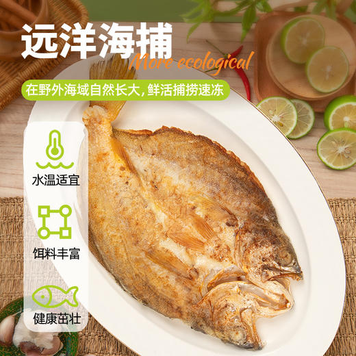 三都港南美黄鱼鲞1.2kg（内含5条）非养殖免处理免调味深海黄鱼 商品图4