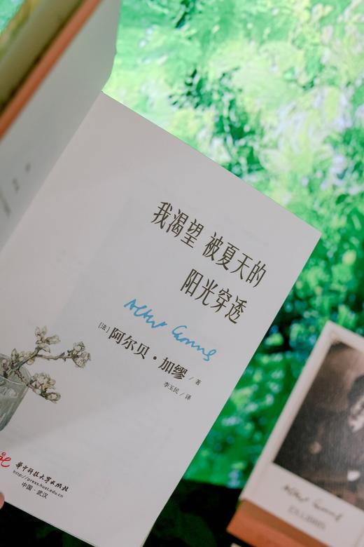 我渴望被夏天的阳光穿透  9787577228679  华中科技出版社 商品图8