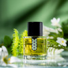 非凡之香 绿宝石 Les Indemodables Fougere Emeraude 分装 商品缩略图5