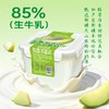 【2件十堰主城区包邮】天润奶皮子酸奶桶 原味/哈密瓜味/葡萄味 880g/桶 商品缩略图1