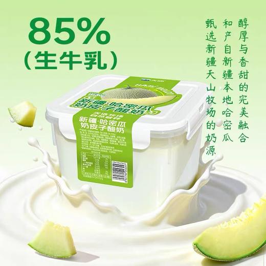 【2件十堰主城区包邮】天润奶皮子酸奶桶 原味/哈密瓜味/葡萄味 880g/桶 商品图1