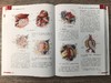 血管外科关键入路：手术精要与操作图谱（中文翻译版） （美）蒂穆尔·P.萨拉吉（Timur P.Sarac） （美）维克拉姆·S.卡夏普（Vikram S.Kashyap） 沈晨阳 9787030842 商品缩略图4