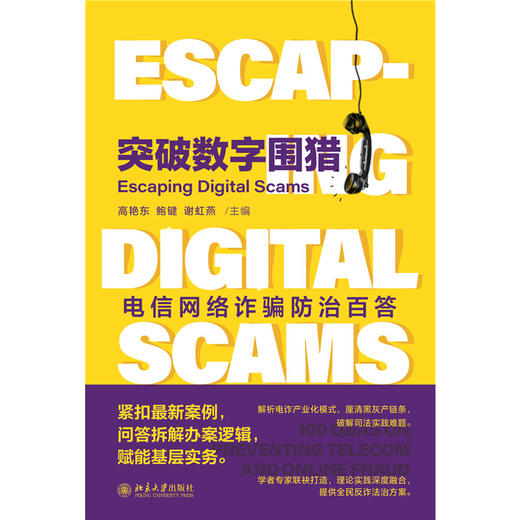 突破数字围猎：电信网络诈骗防治百答 高艳东 鲍键 谢虹燕 主编  北京大学出版社 商品图1