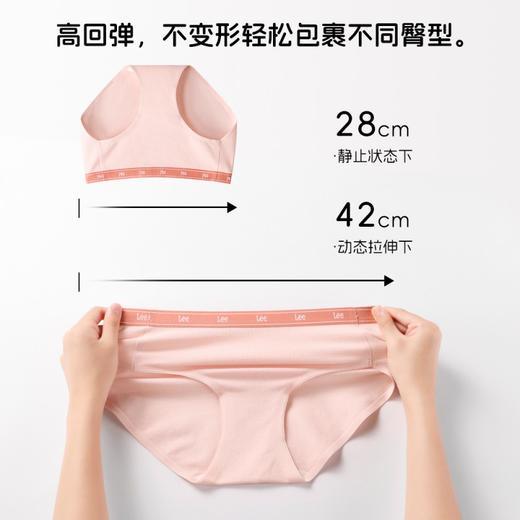 【超模君严选 纯棉高回弹 轻松包裹不同臀型】Lee女士10A纯棉内裤 消臭抑菌 体感细腻光滑 商品图5