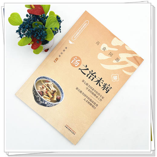 汤之治未病 洪蕾 汪为 主编 药食同源 中国饮食文化与治未病系列从书 汤粥茶酒是最基本的日常生活膳食形式 中国中医药出版社 商品图2