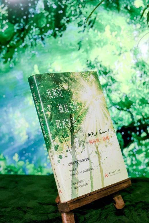 我渴望被夏天的阳光穿透  9787577228679  华中科技出版社 商品图4