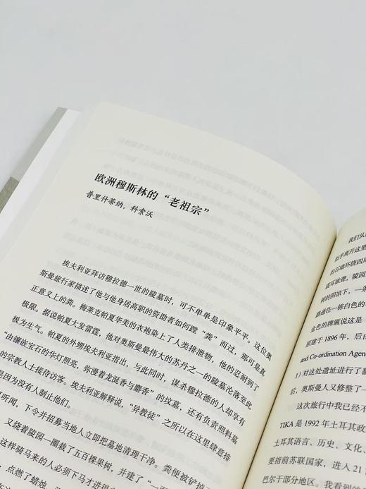 山间的宣礼塔：欧洲穆斯林文化之旅(远方译丛) 商品图3