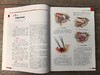 血管外科关键入路：手术精要与操作图谱（中文翻译版） （美）蒂穆尔·P.萨拉吉（Timur P.Sarac） （美）维克拉姆·S.卡夏普（Vikram S.Kashyap） 沈晨阳 9787030842 商品缩略图6