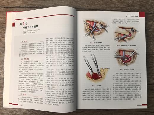 血管外科关键入路：手术精要与操作图谱（中文翻译版） （美）蒂穆尔·P.萨拉吉（Timur P.Sarac） （美）维克拉姆·S.卡夏普（Vikram S.Kashyap） 沈晨阳 9787030842 商品图6