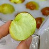云南蜜罐蟠枣 云南高原「枣中贵族」25+冰糖甜 一口沦陷的脆甜暴击 现摘现发 顺丰发货 商品缩略图4