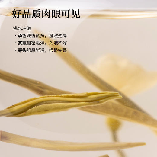 【魔造】茉莉针王80g 商品图4