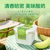 【2件十堰主城区包邮】天润奶皮子酸奶桶 原味/哈密瓜味/葡萄味 880g/桶 商品缩略图2