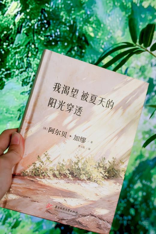 我渴望被夏天的阳光穿透  9787577228679  华中科技出版社 商品图5