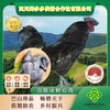 旧院冰鲜公鸡 商品缩略图0