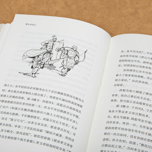 漫长的余生：一个北魏宫女和她的时代   罗新著-视频号 商品图5