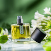 非凡之香 绿宝石 Les Indemodables Fougere Emeraude 分装 商品缩略图4