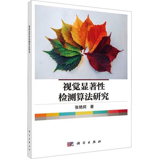 视觉显著性检测算法研究 商品图0