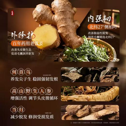 【超模君严选 防脱育发 强韧发根】俏然纯 生姜防脱洗发水 固发养发 增发密发 精选云南黄姜熬制（带防脱特征） 商品图2
