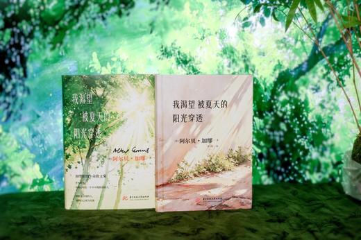 我渴望被夏天的阳光穿透  9787577228679  华中科技出版社 商品图6